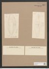 Amphora indusiata Grun. (de-Toni-Nr.: Genus 36) Zeichnungen Sammlung Grunow Nr. 3251 (NHMW-BOT-W0370725)